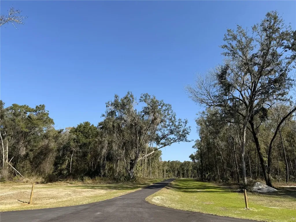 Irvine Acres #3 (10ac) W Highway 318 Reddick FL 32686