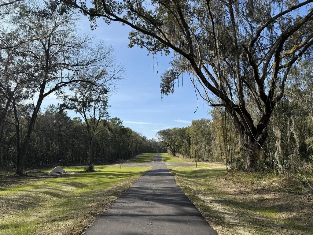Irvine Acres #3 (10ac) W Highway 318 Reddick FL 32686