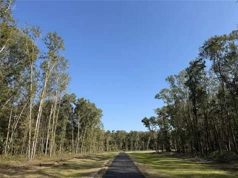 Irvine Acres #3 (10ac) W Highway 318 Reddick FL 32686