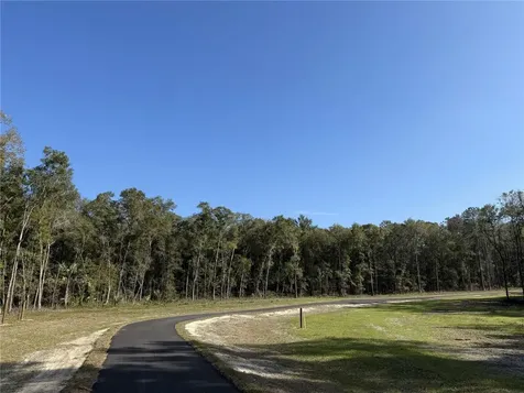 Irvine Acres #3 (10ac) W Highway 318 Reddick FL 32686