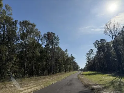 Irvine Acres #3 (10ac) W Highway 318 Reddick FL 32686