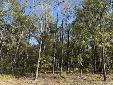 Irvine Acres #3 (10ac) W Highway 318 Reddick FL 32686