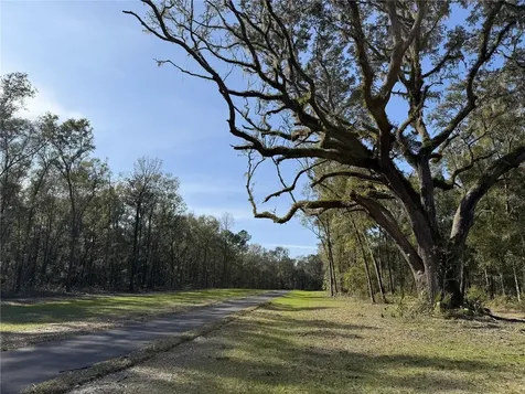 Irvine Acres #3 (10ac) W Highway 318 Reddick FL 32686
