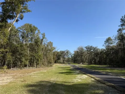 Irvine Acres #3 (10ac) W Highway 318 Reddick FL 32686