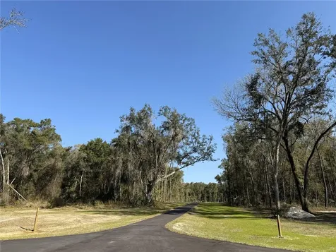 Irvine Acres #3 (10ac) W Highway 318 Reddick FL 32686