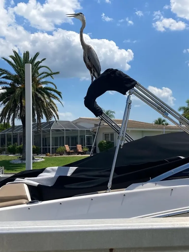 1109 Appian Drive Punta Gorda FL 33950