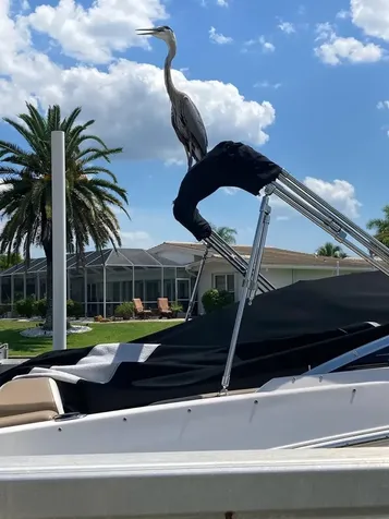 1109 Appian Drive Punta Gorda FL 33950