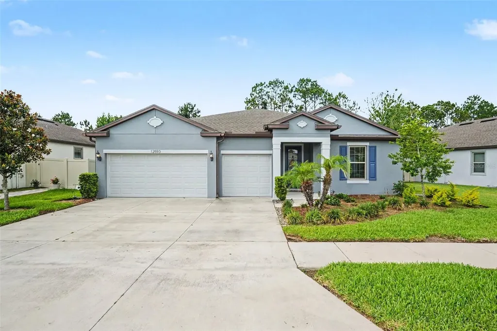 12593 Palapa Loop Spring Hill FL 34610