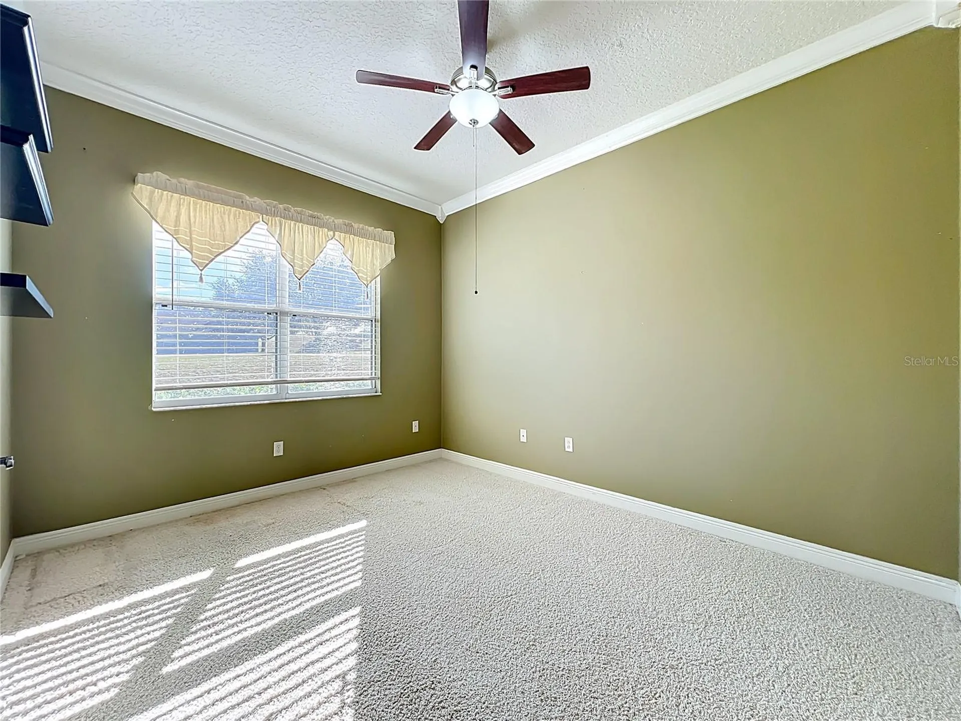 916 Wolf Creek Street Clermont FL 34711