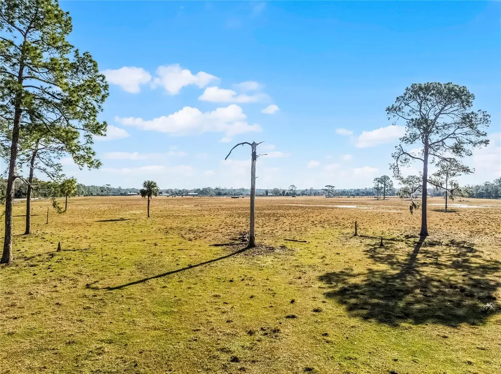 2120 Street Johns River Road Astor FL 32102