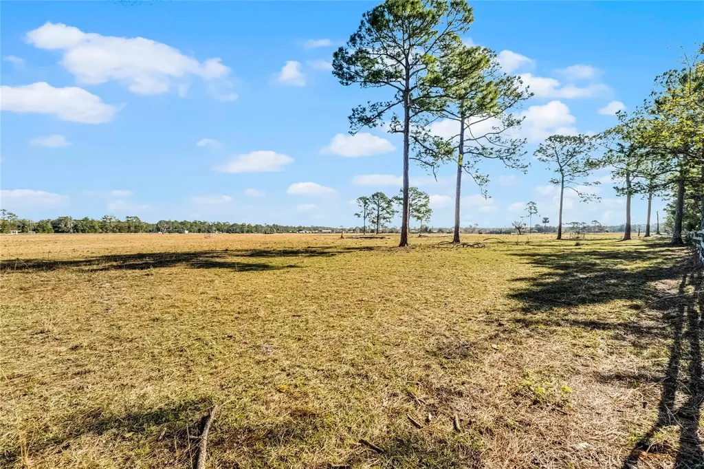 2120 Street Johns River Road Astor FL 32102
