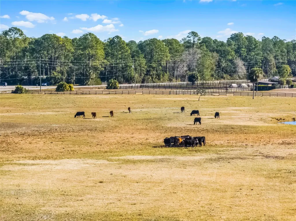 2120 Street Johns River Road Astor FL 32102