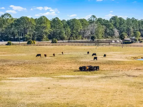 2120 Street Johns River Road Astor FL 32102