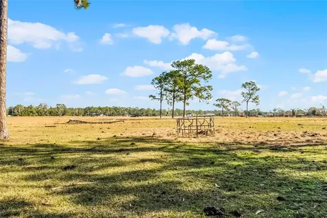 2120 Street Johns River Road Astor FL 32102