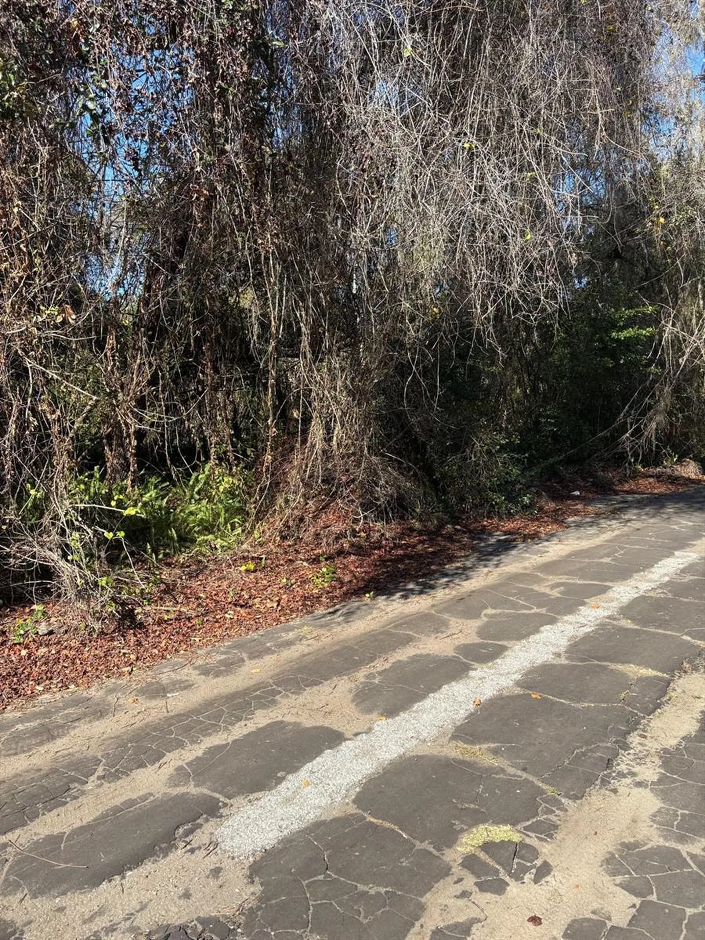 0 Pana Street New Port Richey FL 34654