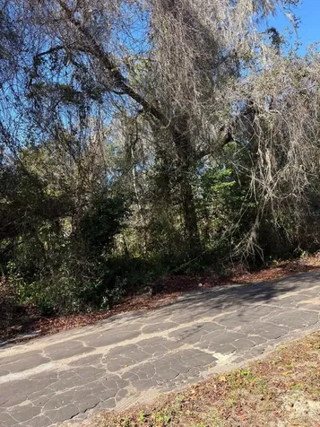 0 Pana Street New Port Richey FL 34654