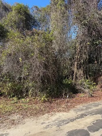 0 Pana Street New Port Richey FL 34654