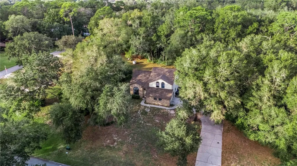 425 Black Ironwood Drive Deland FL 32724