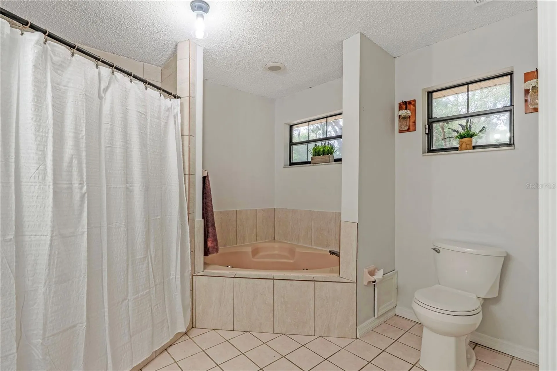 425 Black Ironwood Drive Deland FL 32724