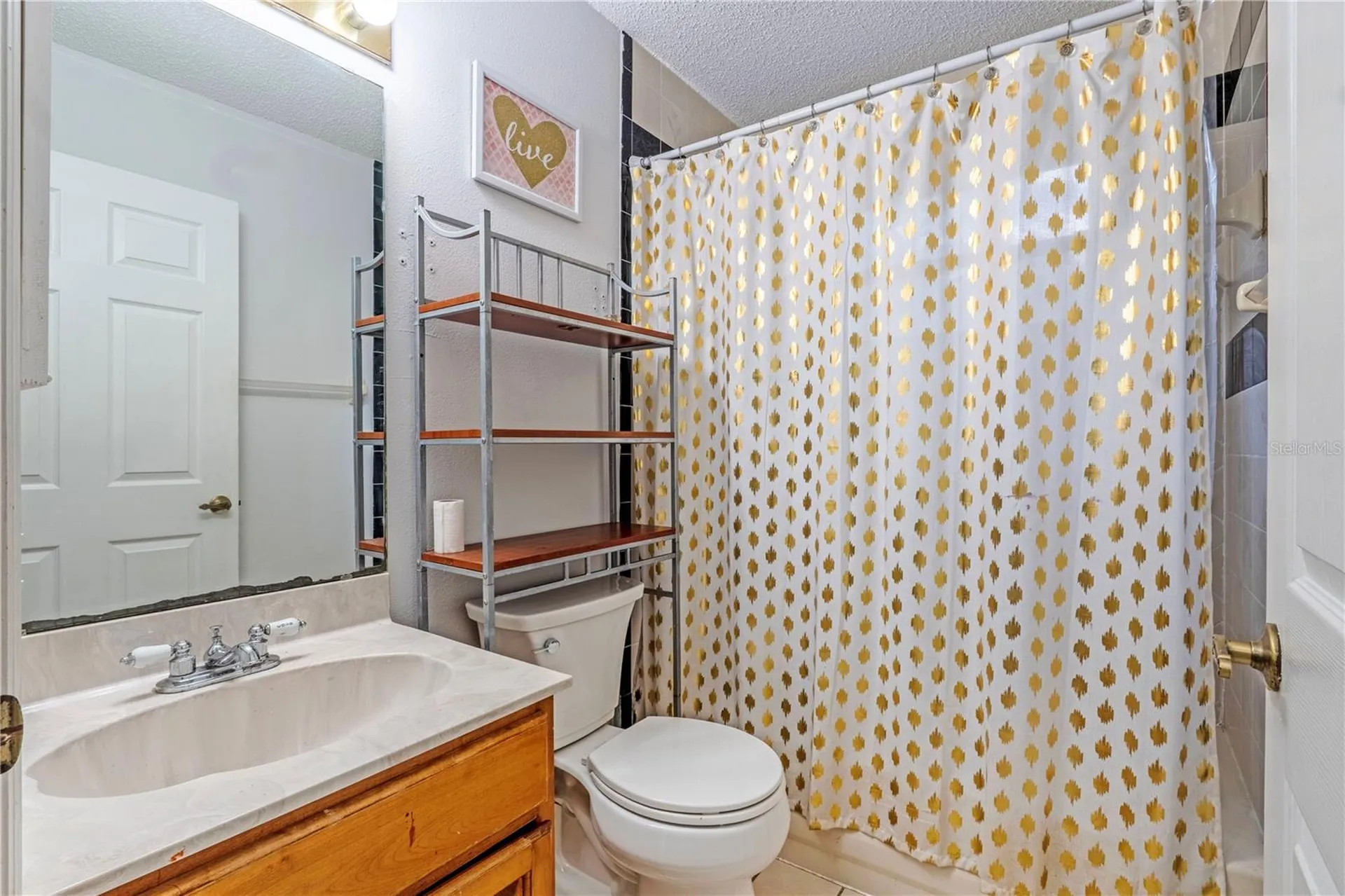 425 Black Ironwood Drive Deland FL 32724