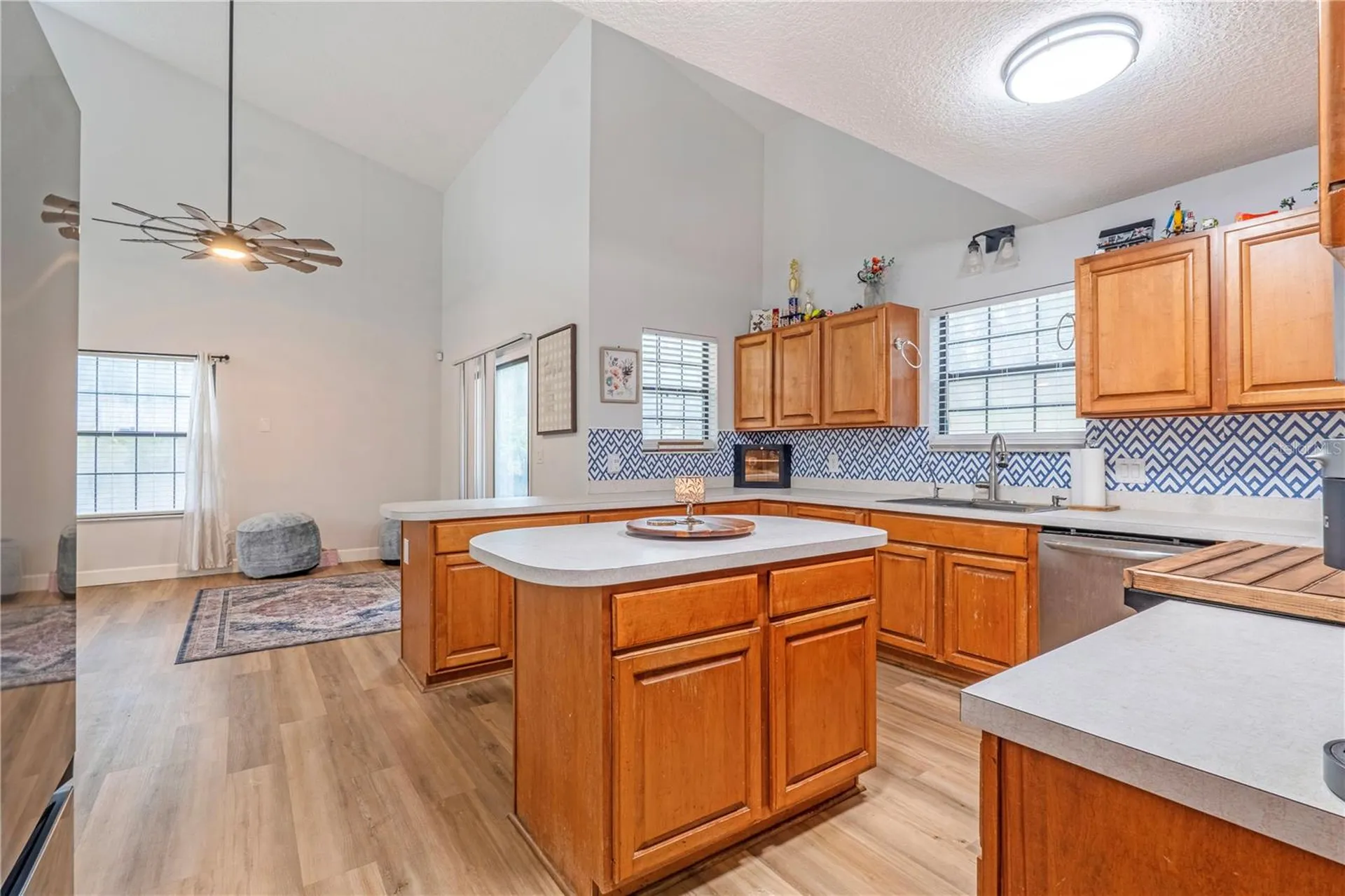 425 Black Ironwood Drive Deland FL 32724