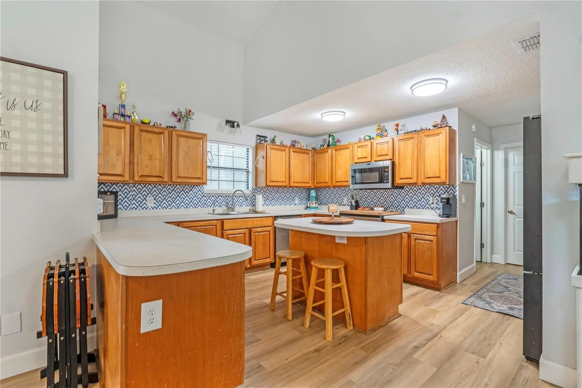 425 Black Ironwood Drive Deland FL 32724