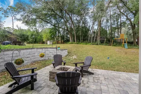 425 Black Ironwood Drive Deland FL 32724
