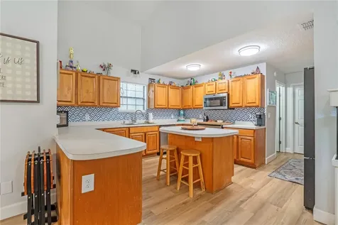 425 Black Ironwood Drive Deland FL 32724