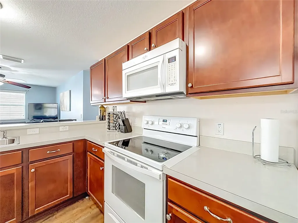 3079 Nutwood Avenue The Villages FL 32163