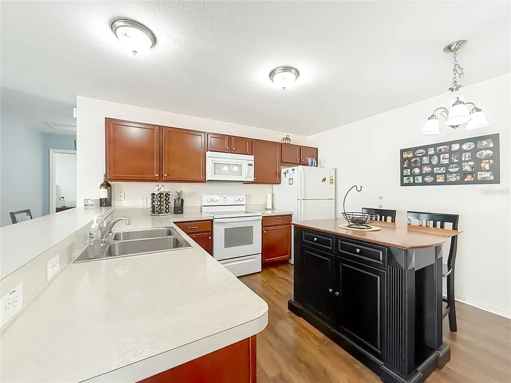 3079 Nutwood Avenue The Villages FL 32163