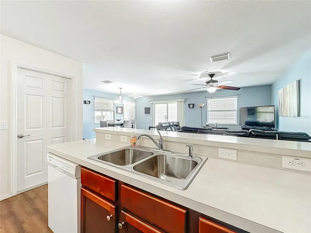 3079 Nutwood Avenue The Villages FL 32163