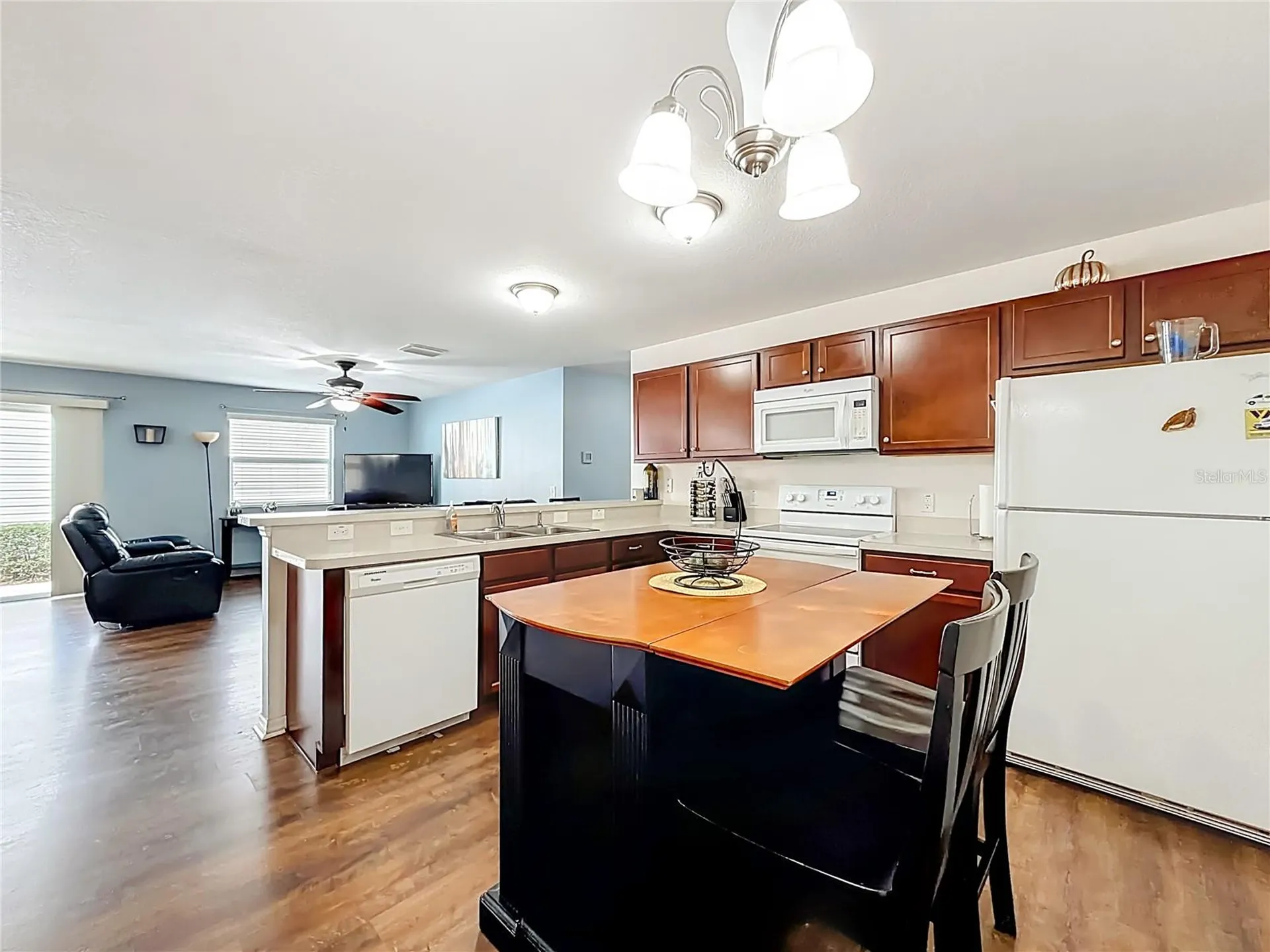 3079 Nutwood Avenue The Villages FL 32163