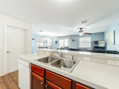 3079 Nutwood Avenue The Villages FL 32163
