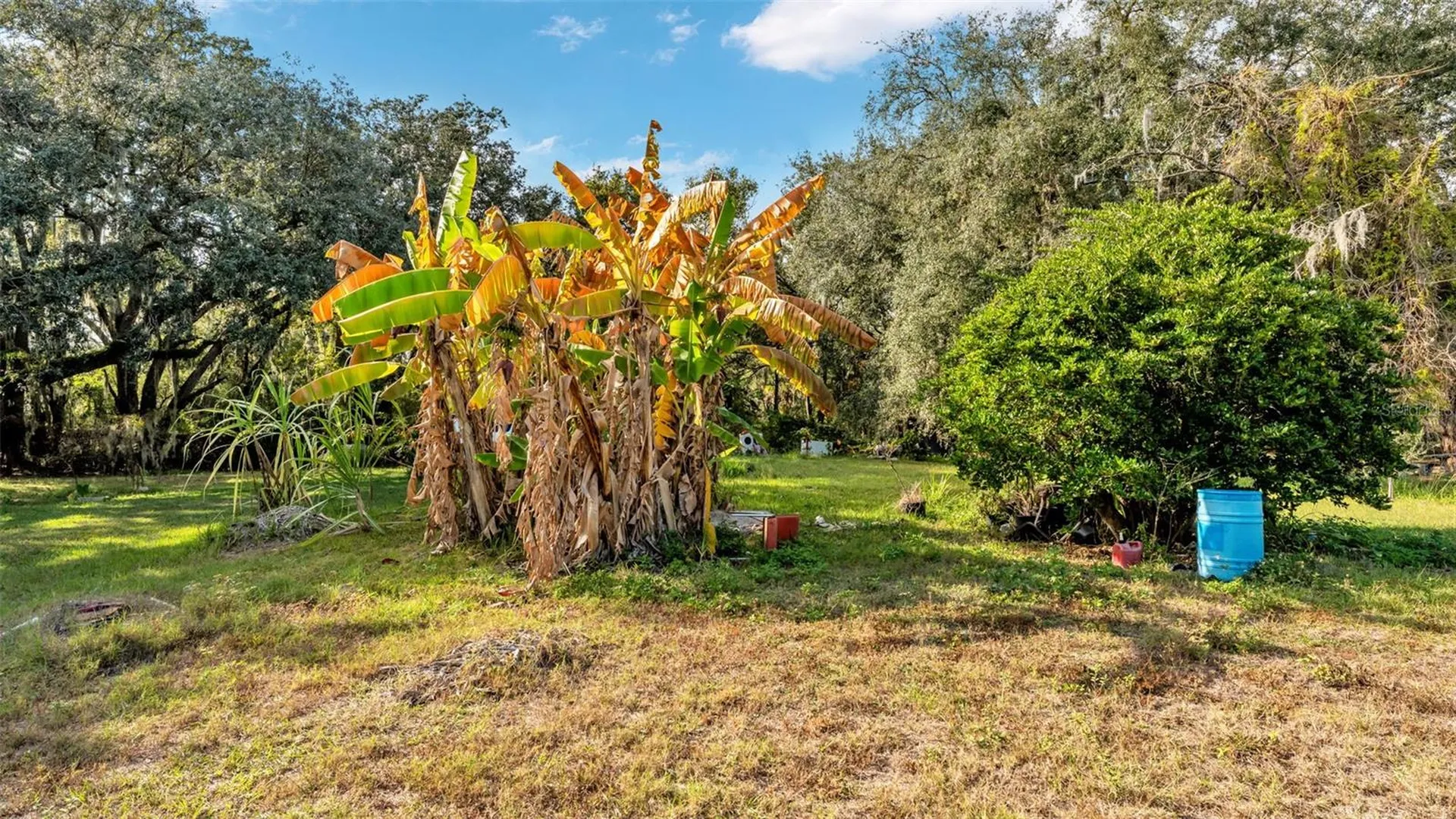 23 Violet Street Plant City FL 33563