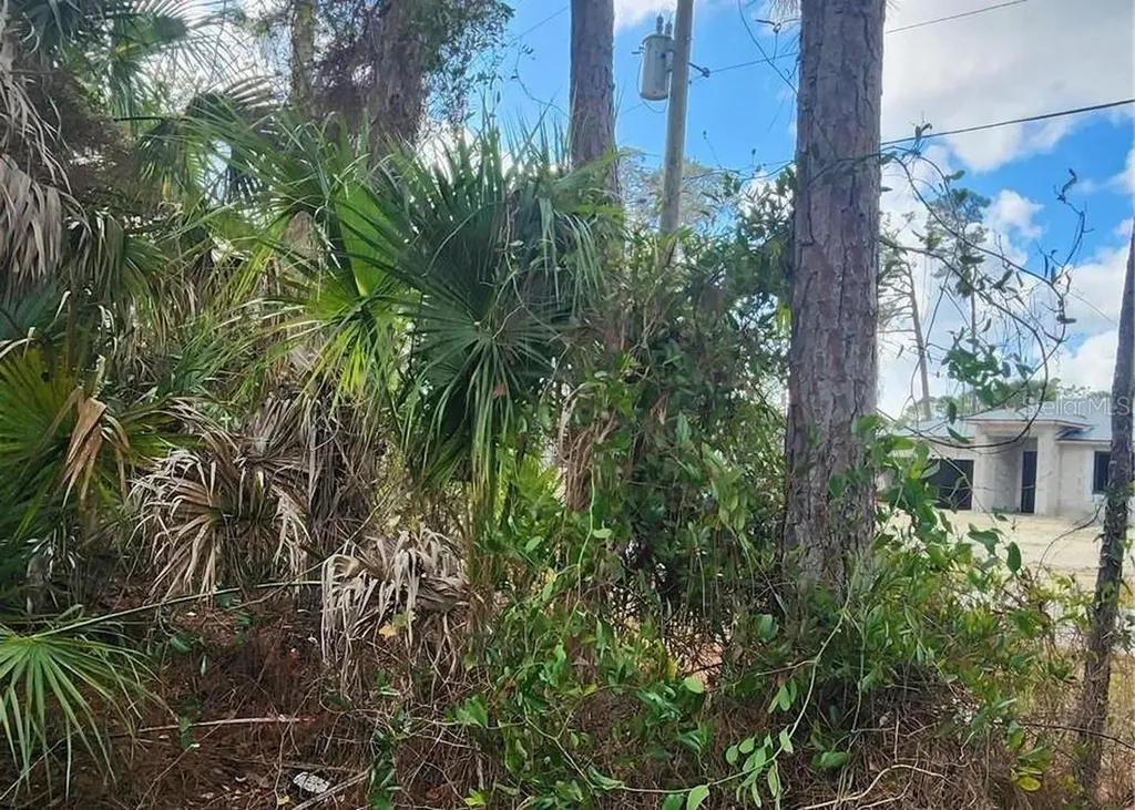 Ananas Road North Port FL 34288