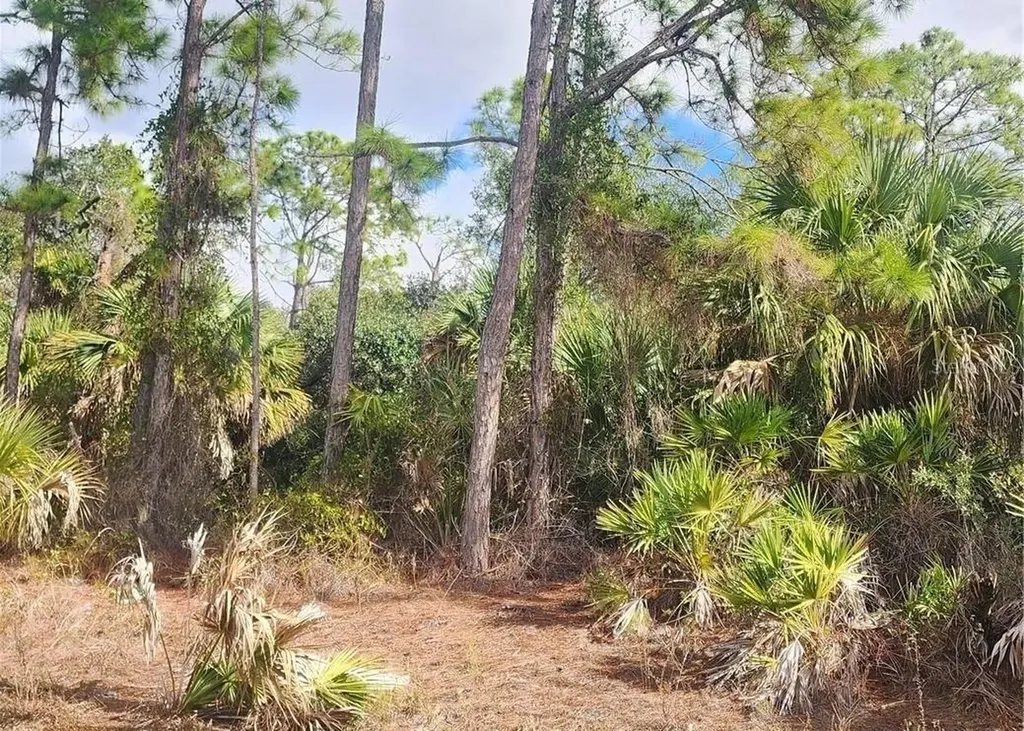 Ananas Road North Port FL 34288