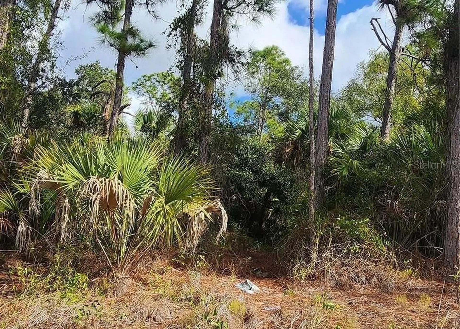 Ananas Road North Port FL 34288