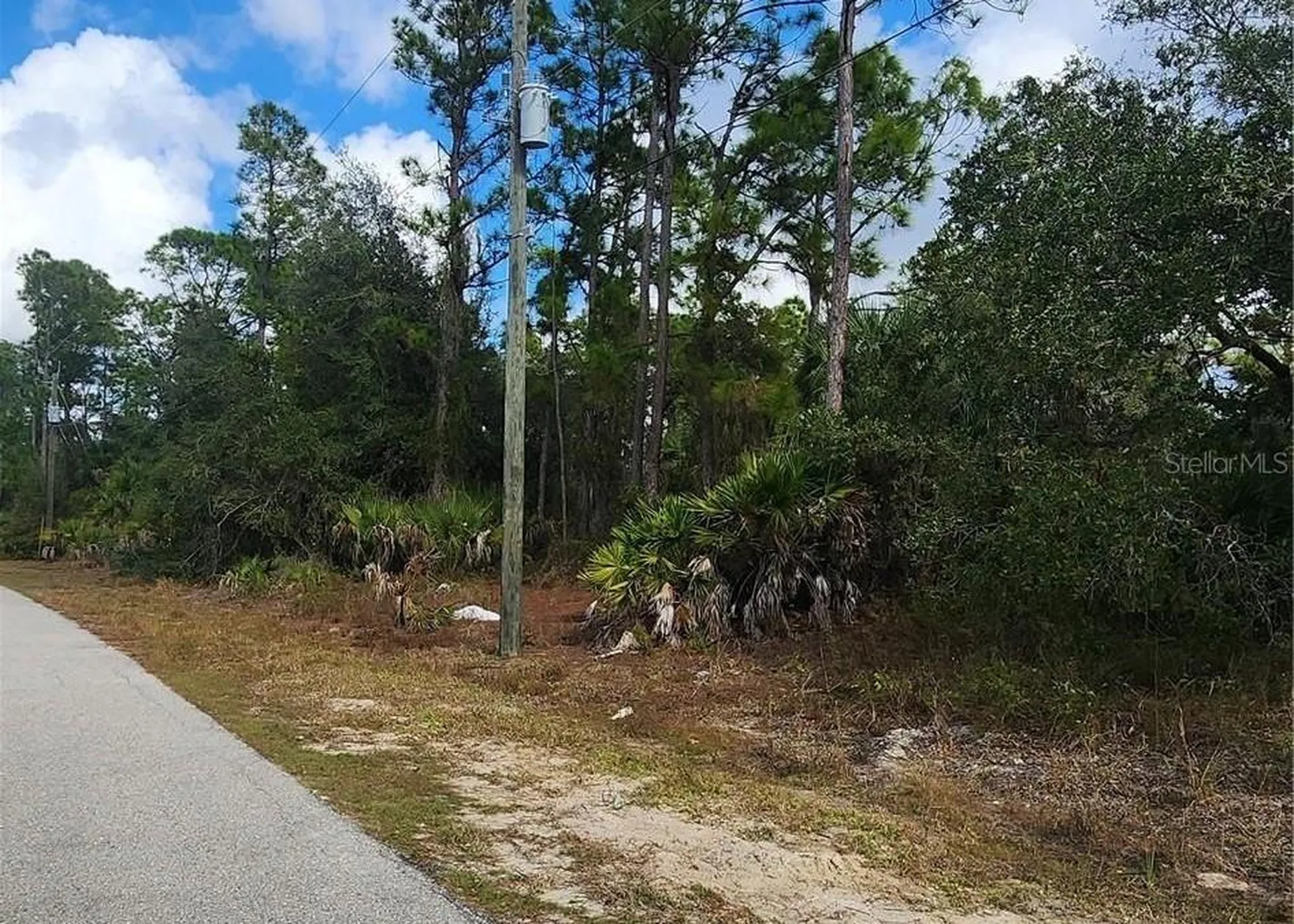 Ananas Road North Port FL 34288