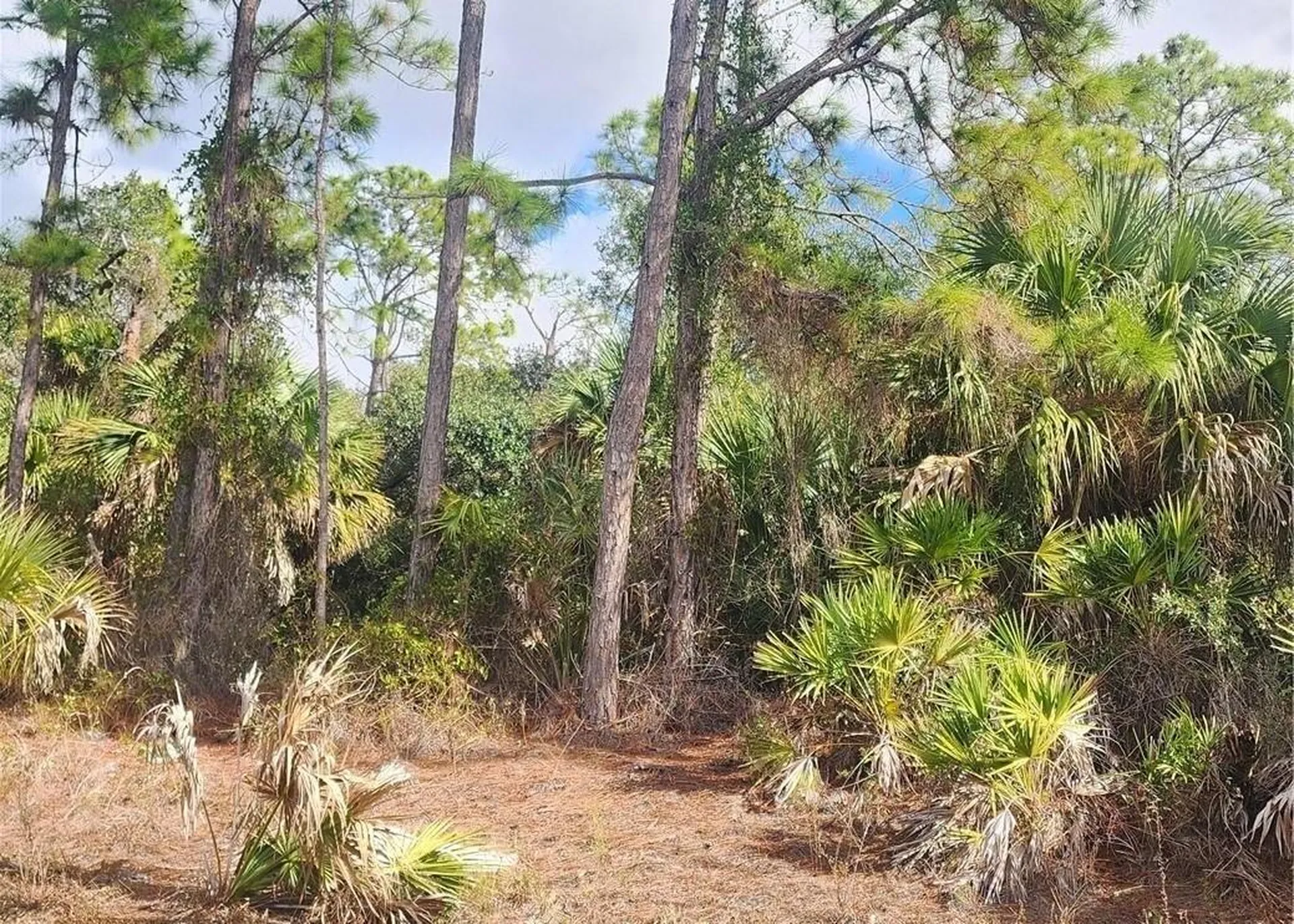 Ananas Road North Port FL 34288