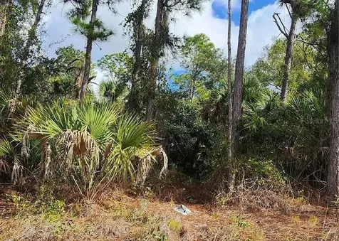 Ananas Road North Port FL 34288