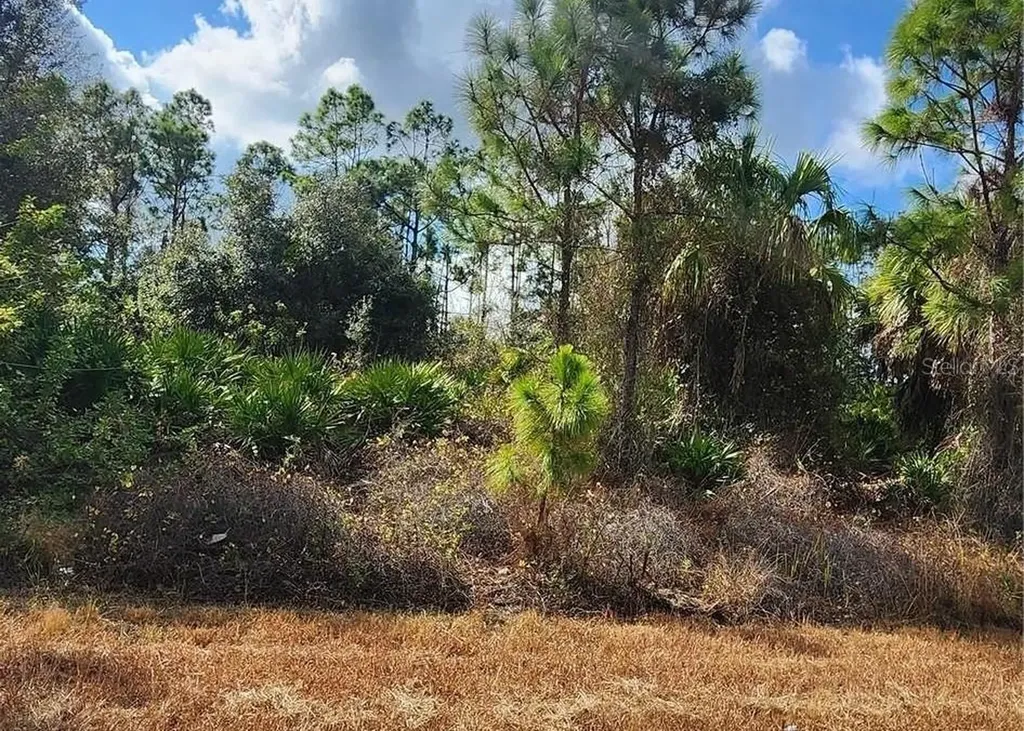 Filbert Street North Port FL 34288