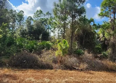Filbert Street North Port FL 34288