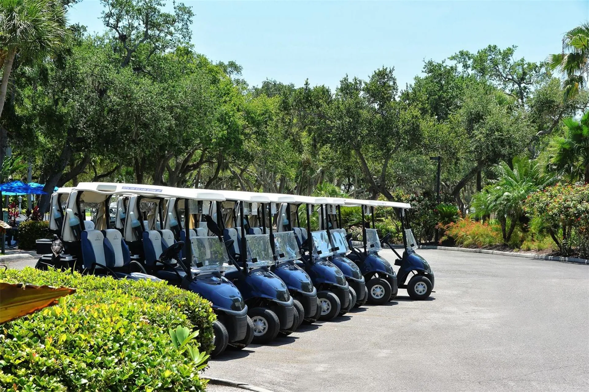 2550 Harbourside Drive Longboat Key FL 34228