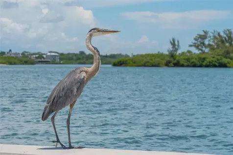 525 Channel Lane Longboat Key FL 34228