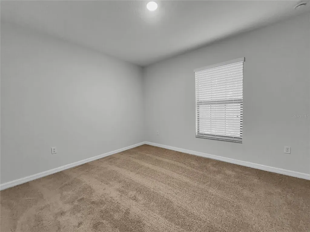 10113 Rosemary Leaf Lane Riverview FL 33578