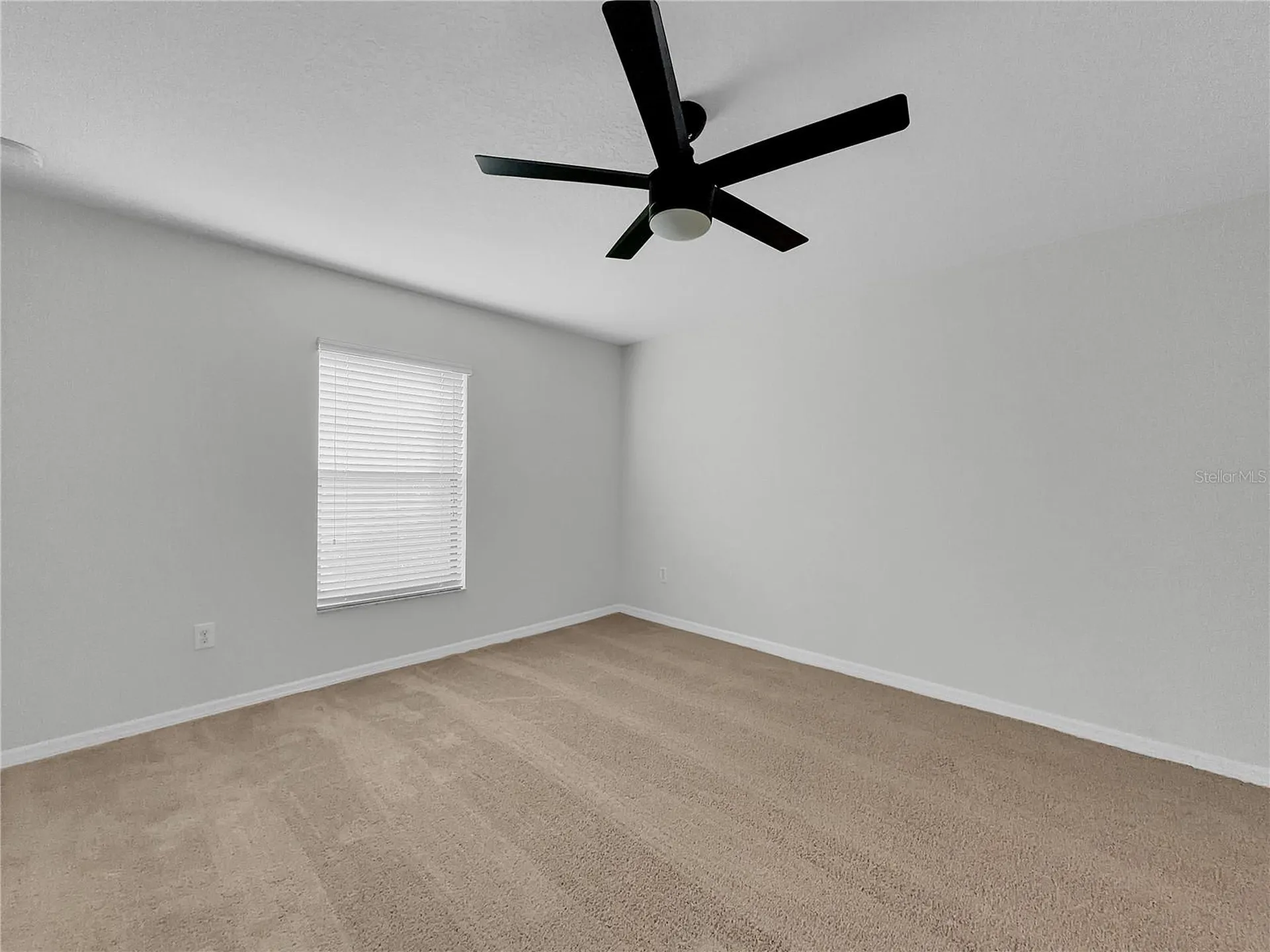 10113 Rosemary Leaf Lane Riverview FL 33578