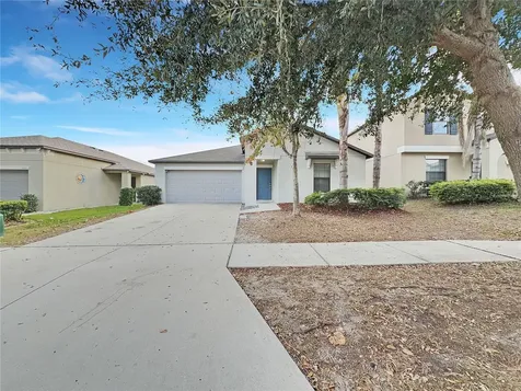 10113 Rosemary Leaf Lane Riverview FL 33578