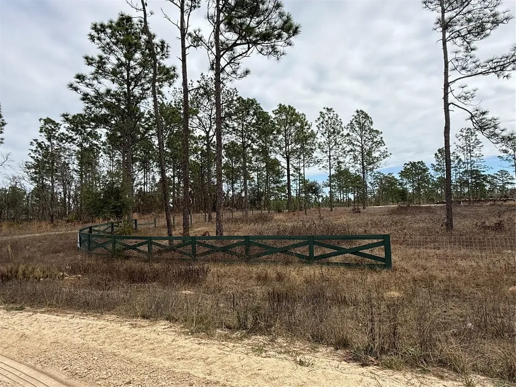 Tbd SW 121st Terrace Dunnellon FL 34432