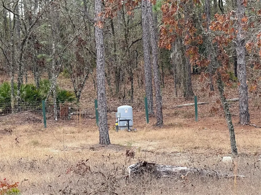 Tbd SW 121st Terrace Dunnellon FL 34432
