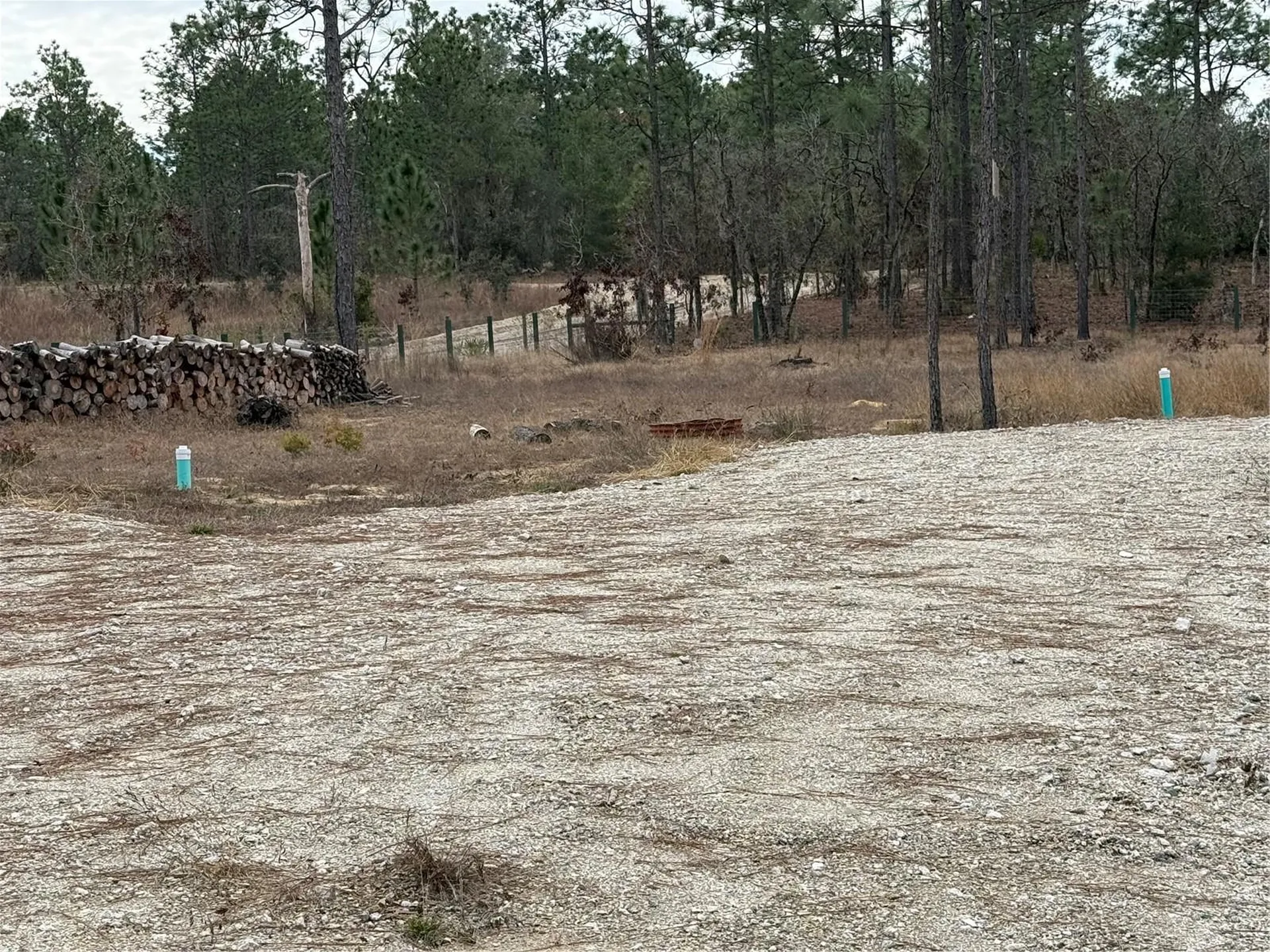 Tbd SW 121st Terrace Dunnellon FL 34432